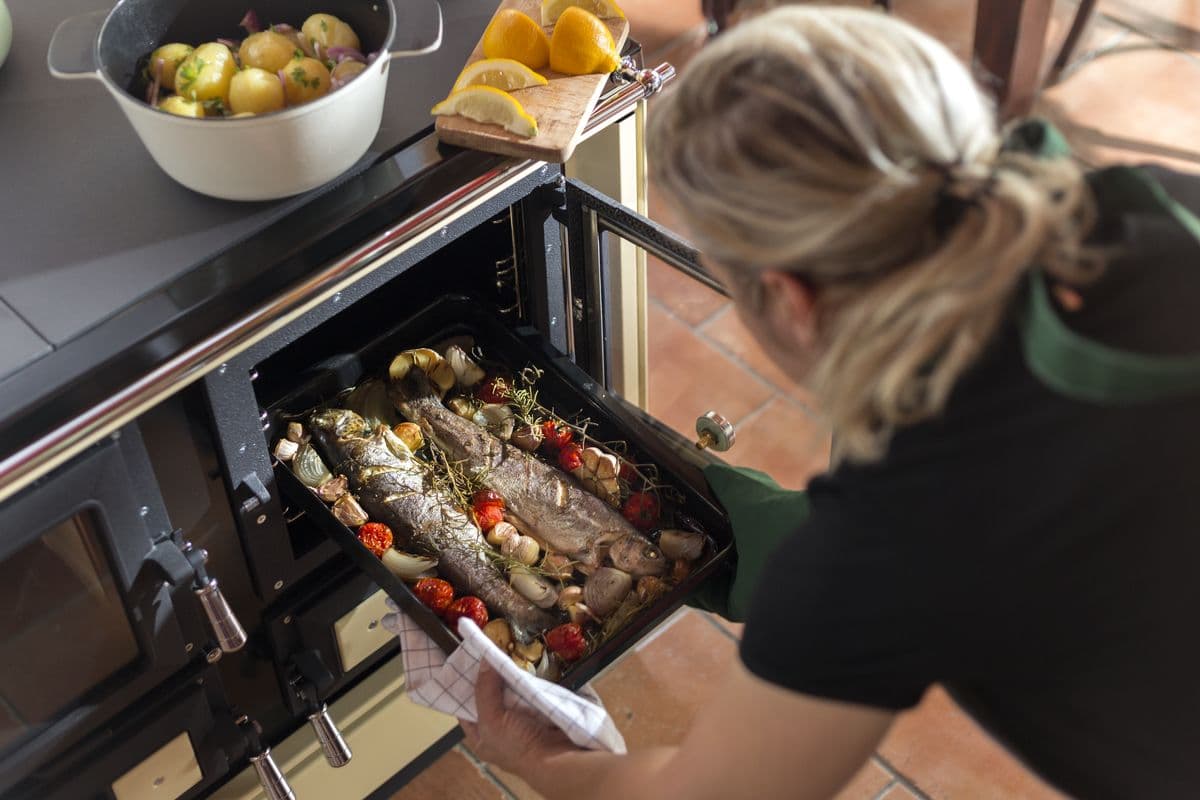 Solidne kuchnie węglowe i piecyki kuchenne z szamotowym paleniskiem.	 — zdjęcie 10