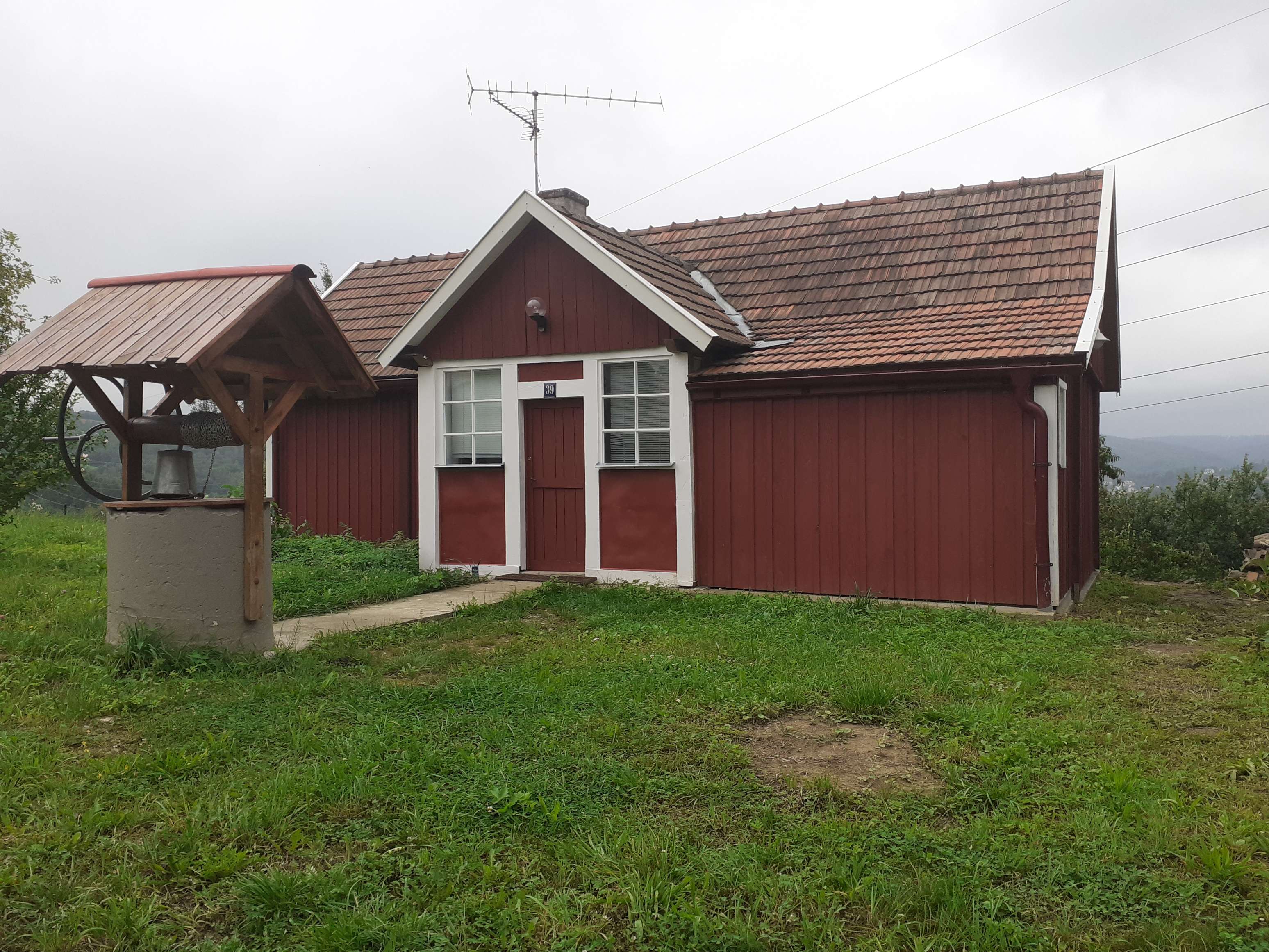wynajmę ogrodzone pastwisko — zdjęcie 1