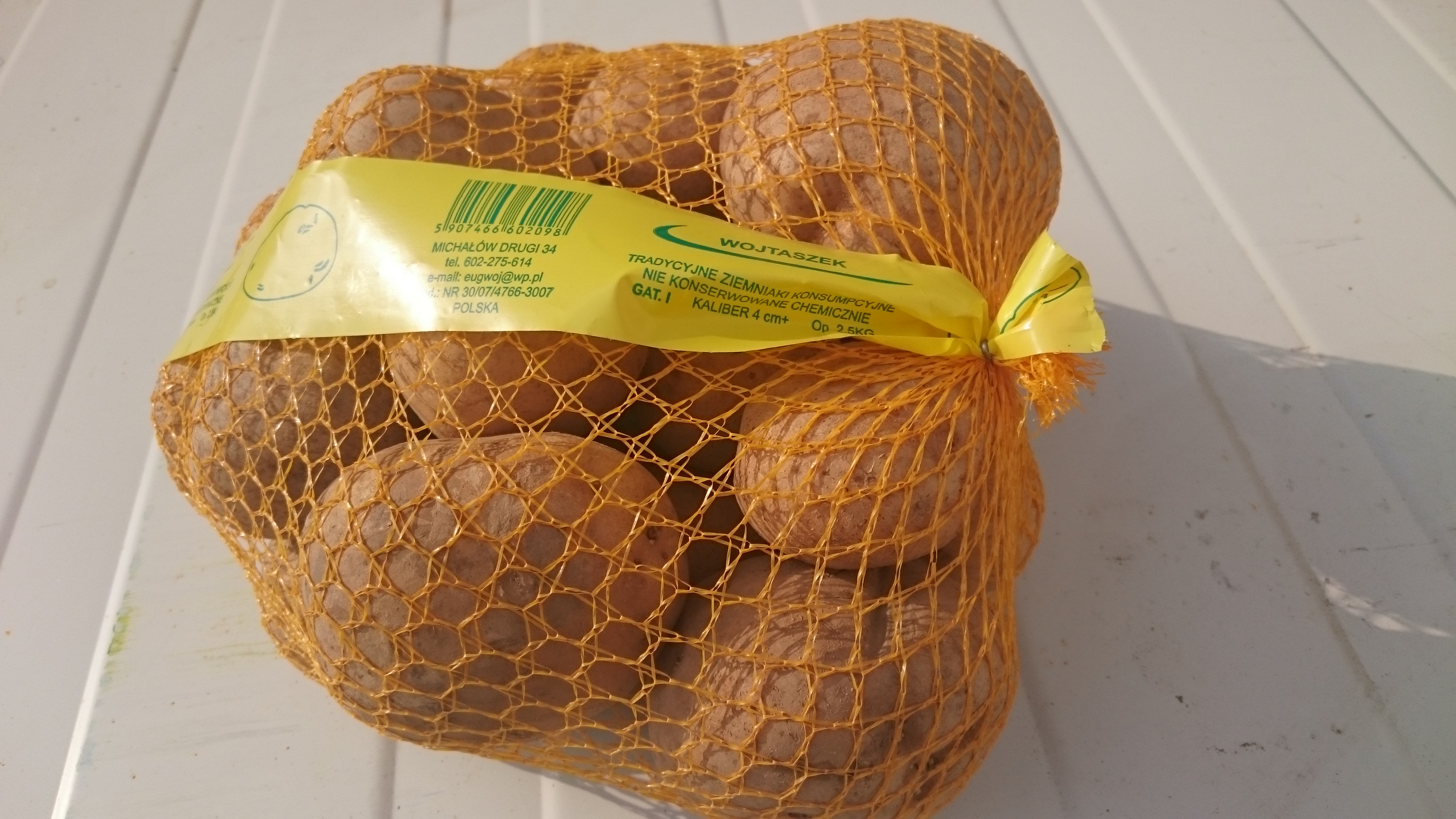 ZIEMNIAKI — zdjęcie 1