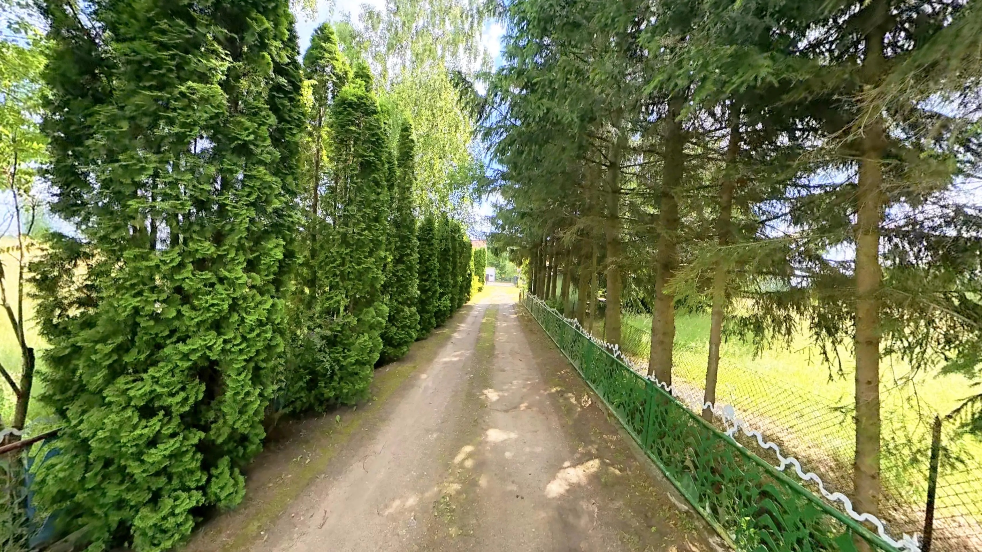 Sprzedam siedlisko na Mazurch k. Orzysza — zdjęcie 7