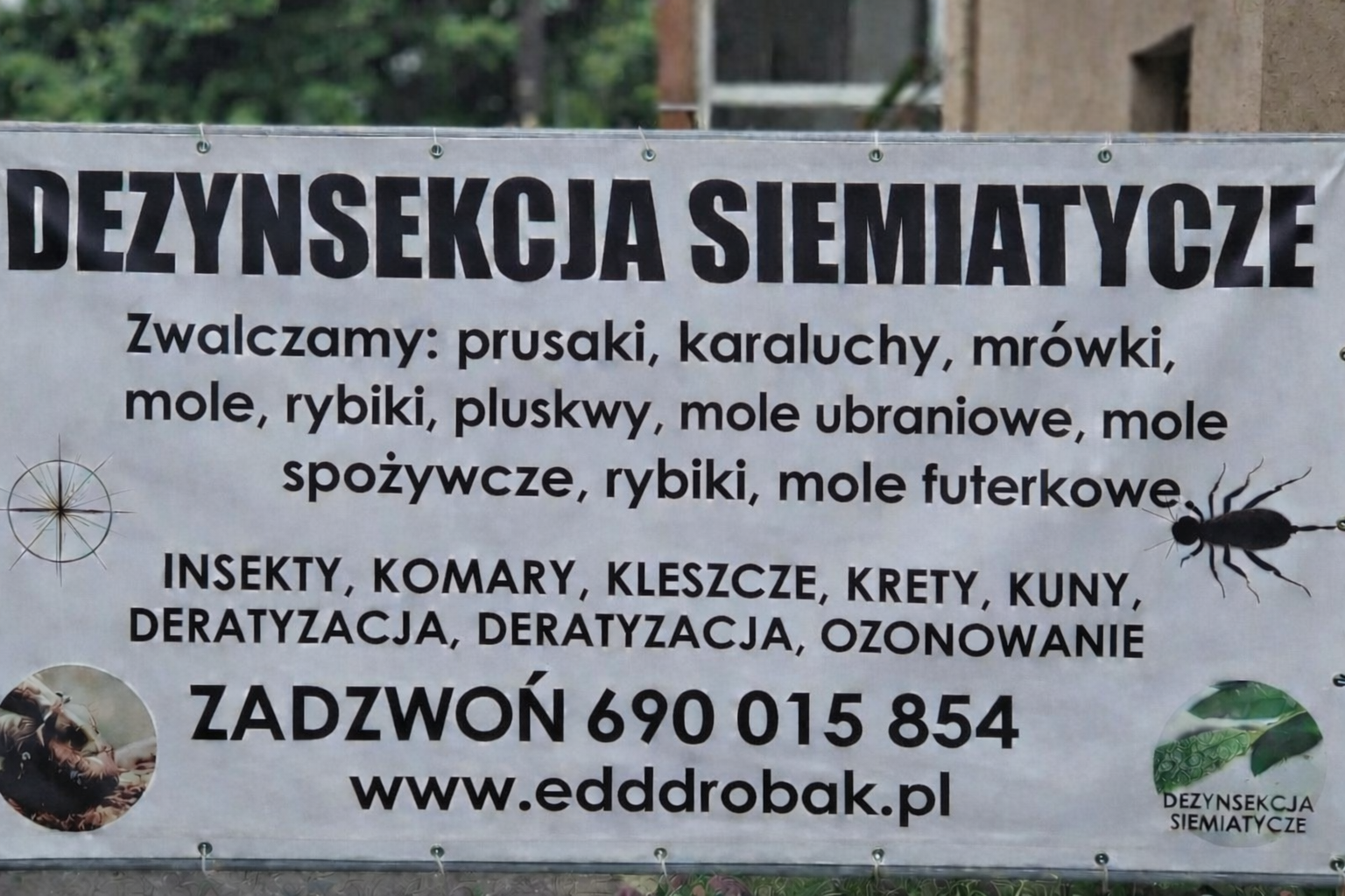 Dezynsekcja Siemiatycze – DDD Robak Team