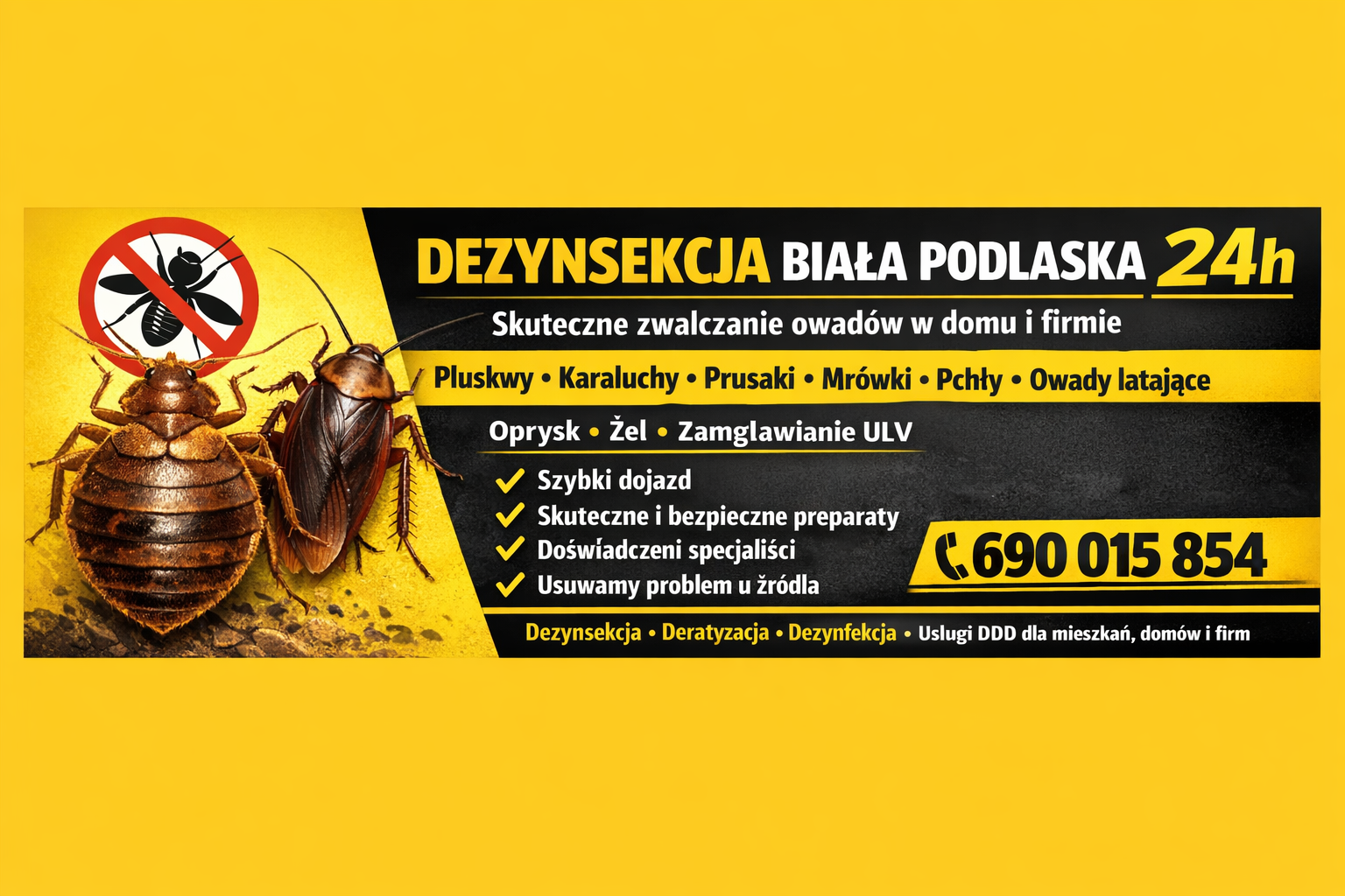 Dezynsekcja Biała Podlaska – DDD Robak Team
